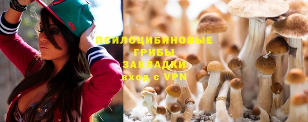 бошки Алексеевка