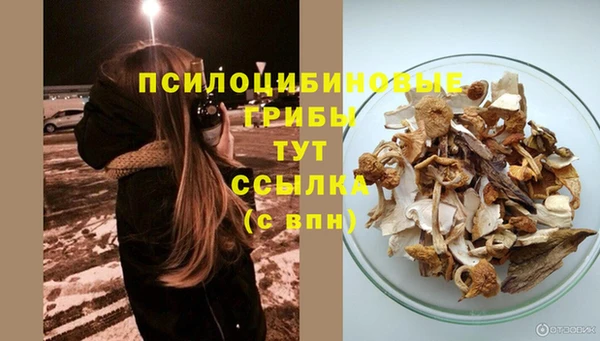 таблы Алзамай