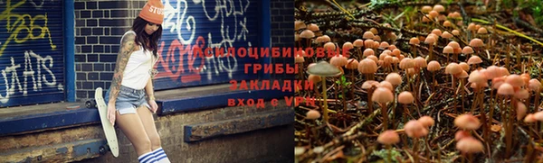 бошки Алексеевка