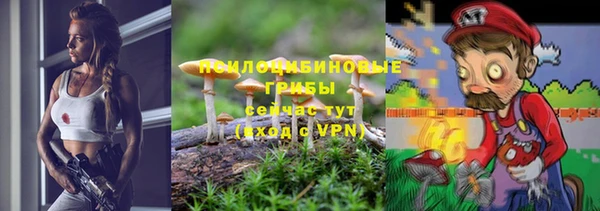 таблы Алзамай